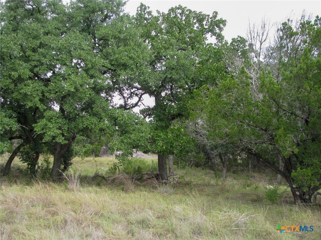 Picture 29