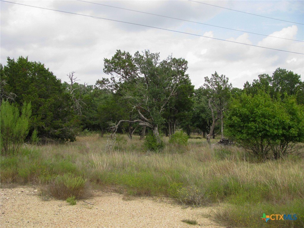 Picture 25