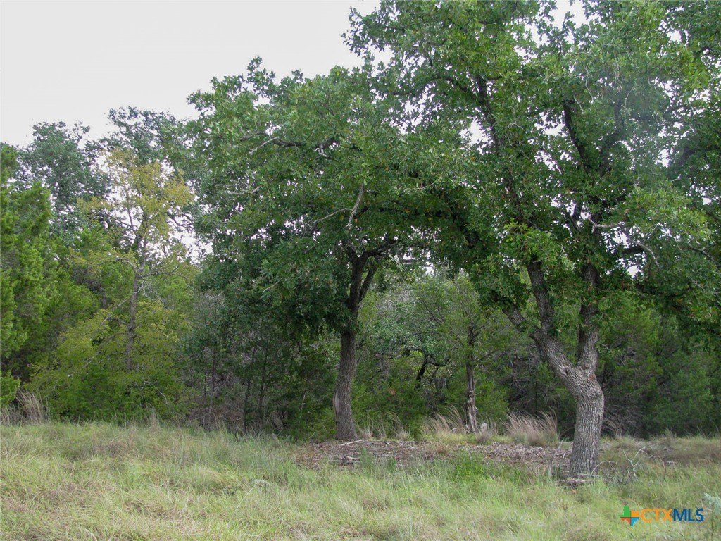 Picture 17