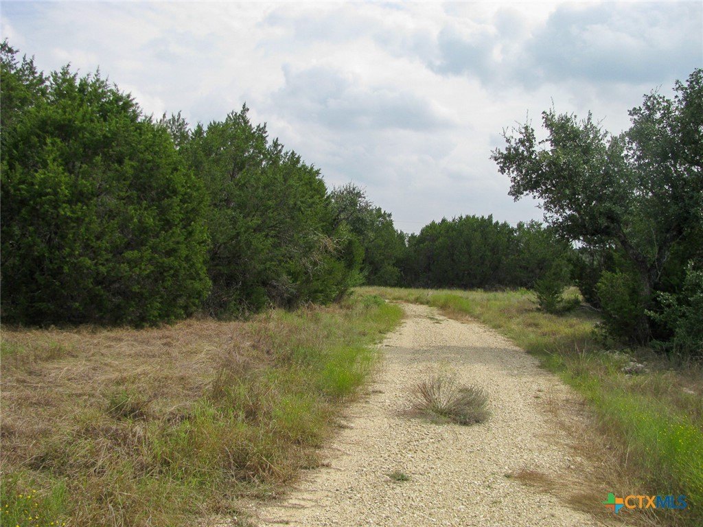 Picture 10