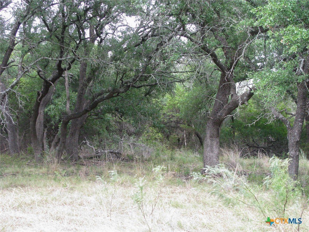 Picture 31