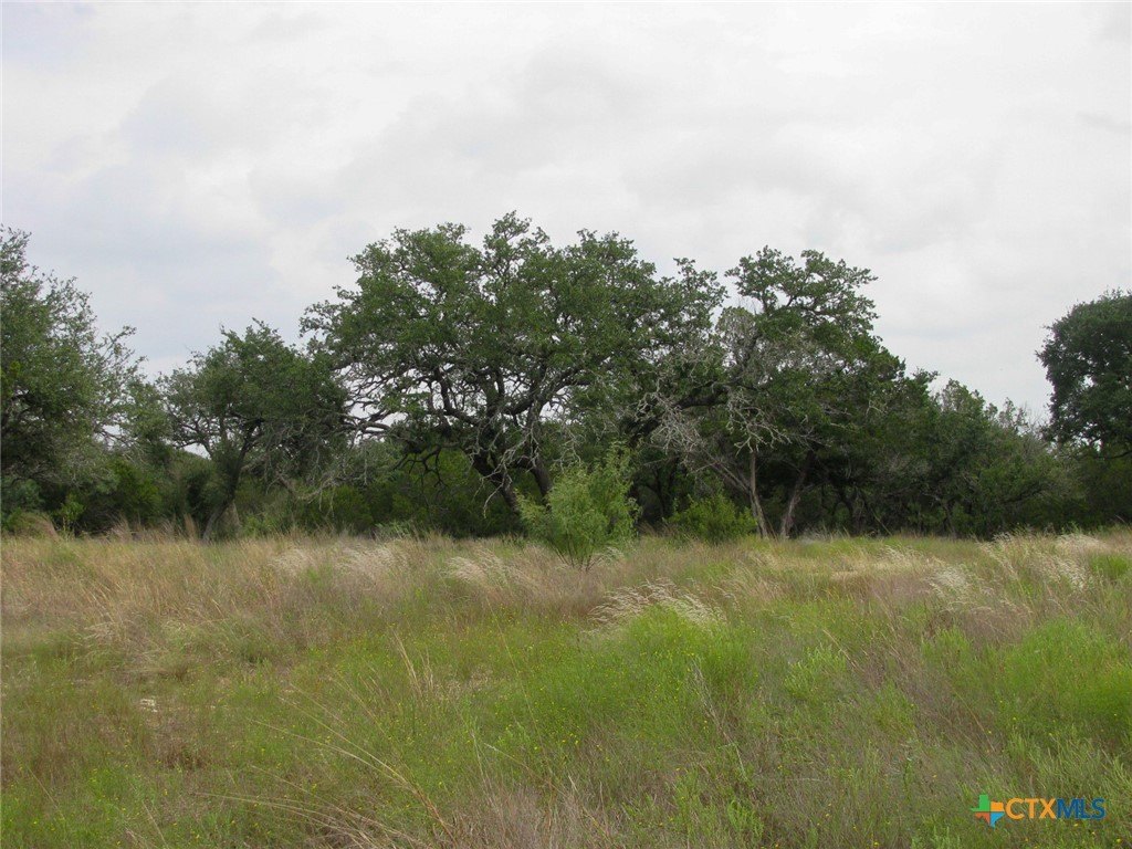 Picture 28