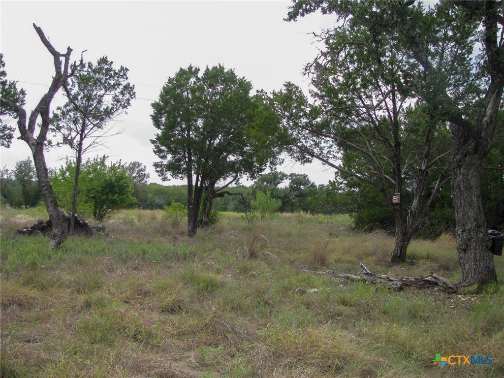 Picture 16