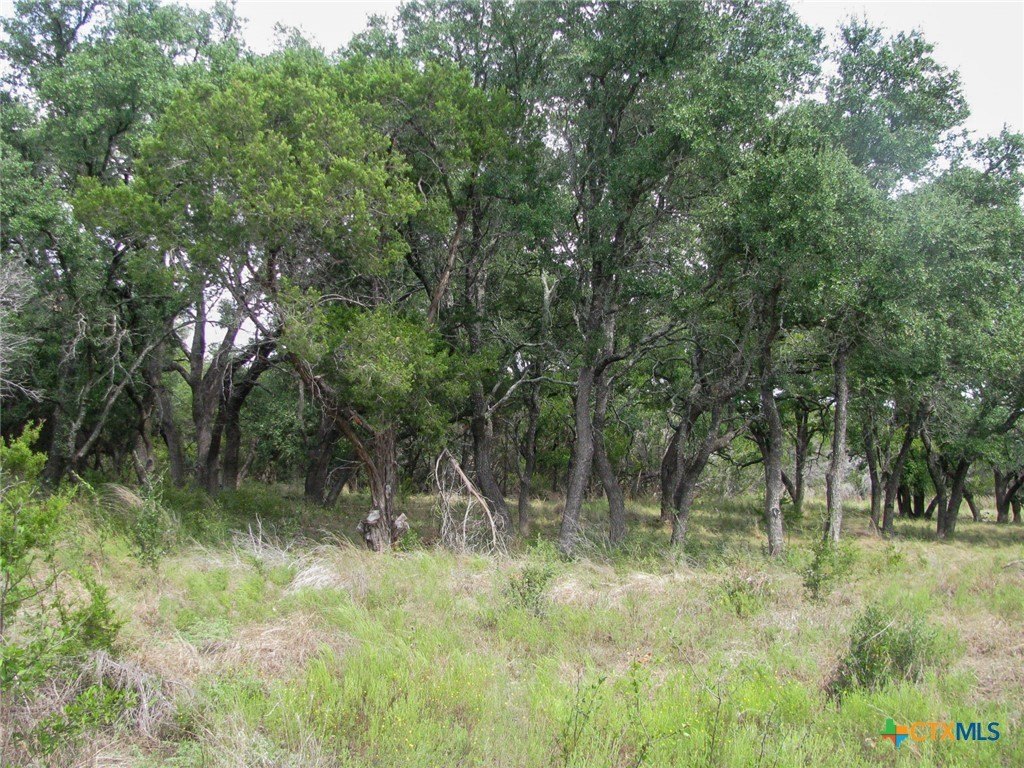 Picture 22