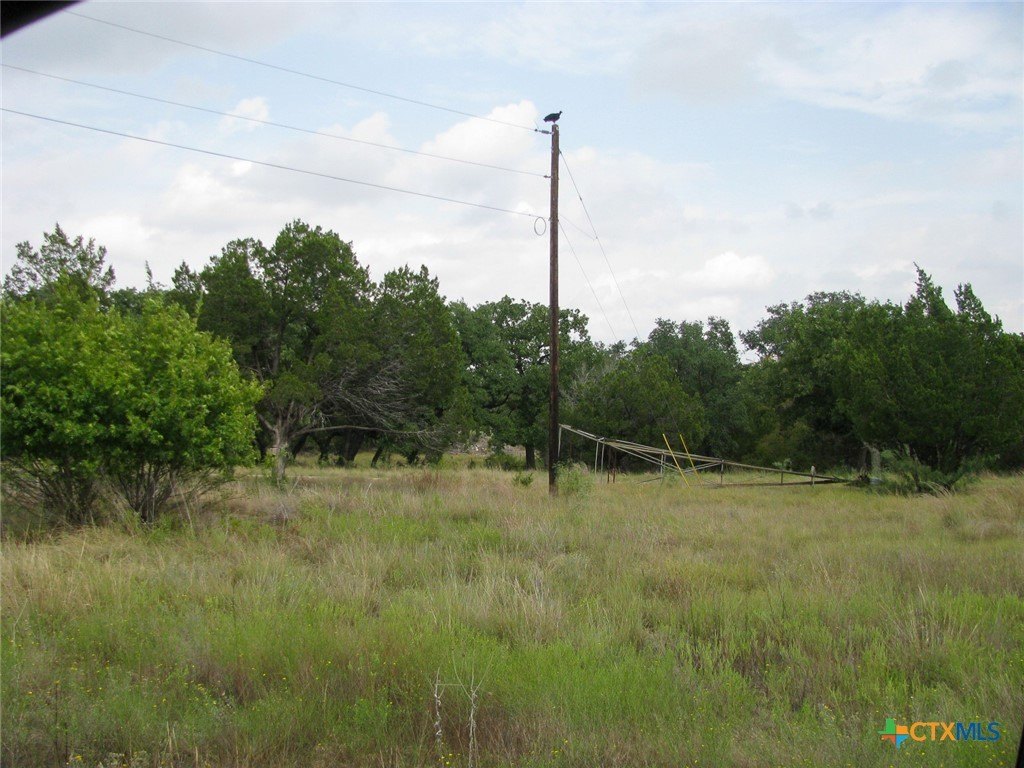 Picture 24