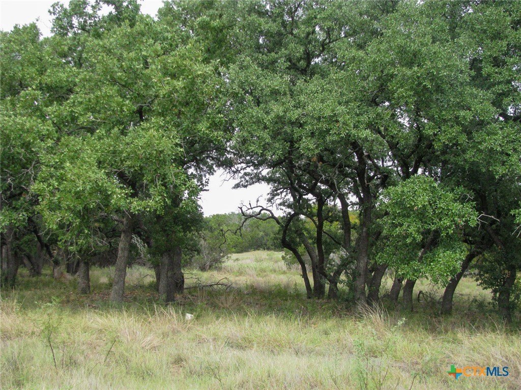 Picture 30