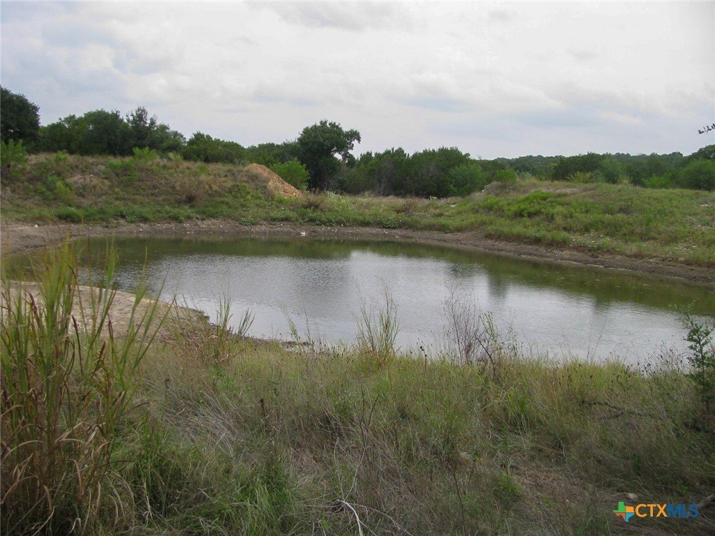 Picture 27