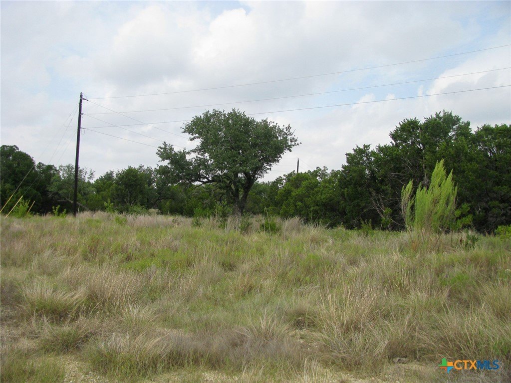 Picture 26