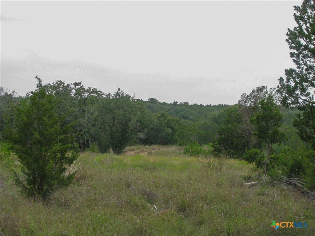 Picture 14
