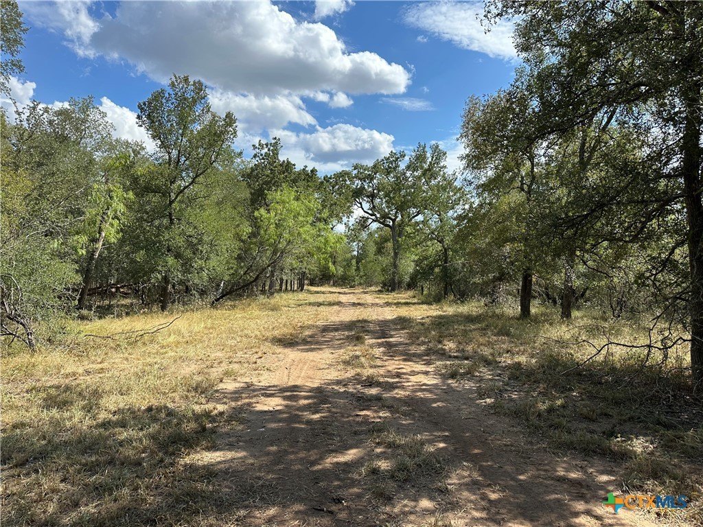 Luling Land with Shade Trees