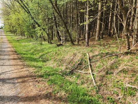 7.43 Acres in Rural Retreat