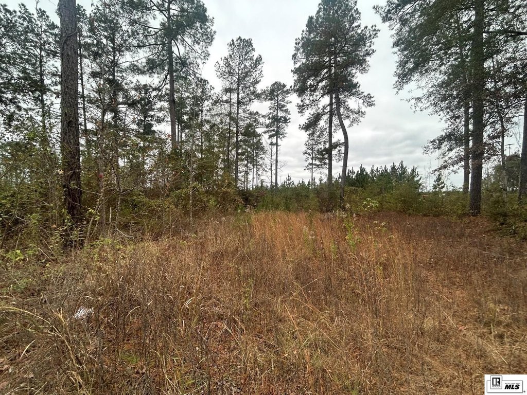 Picture 4