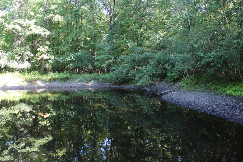 Picture 19