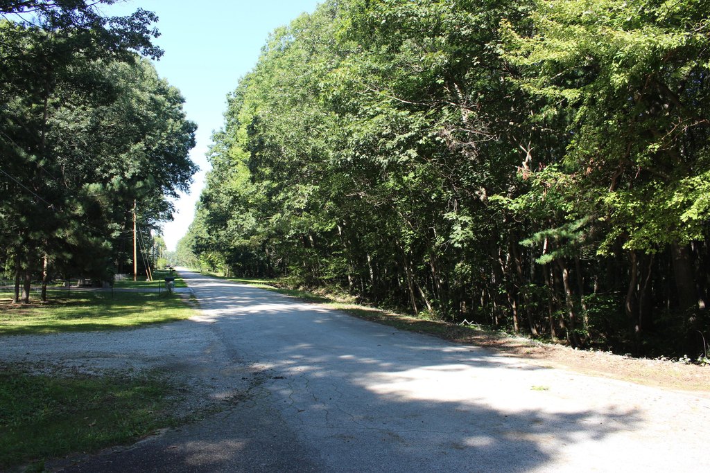 Picture 14