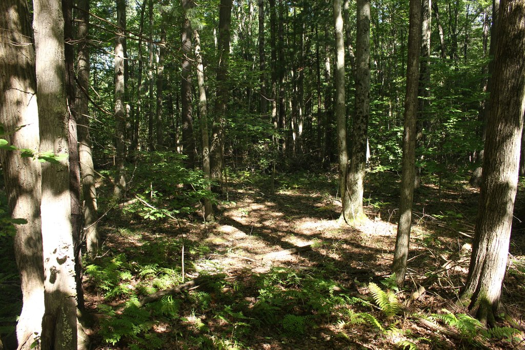 Picture 15