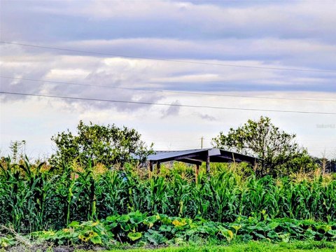 Agricultural Land with Existing Crops