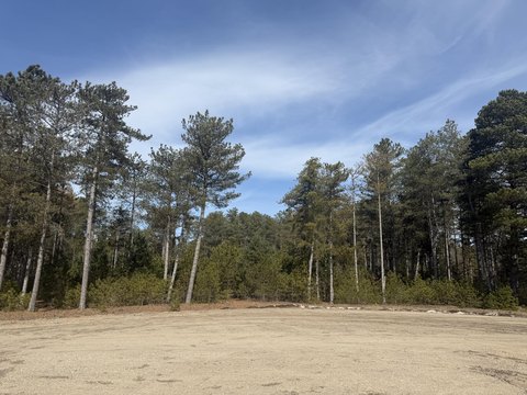 Wooded Lot Near US 31