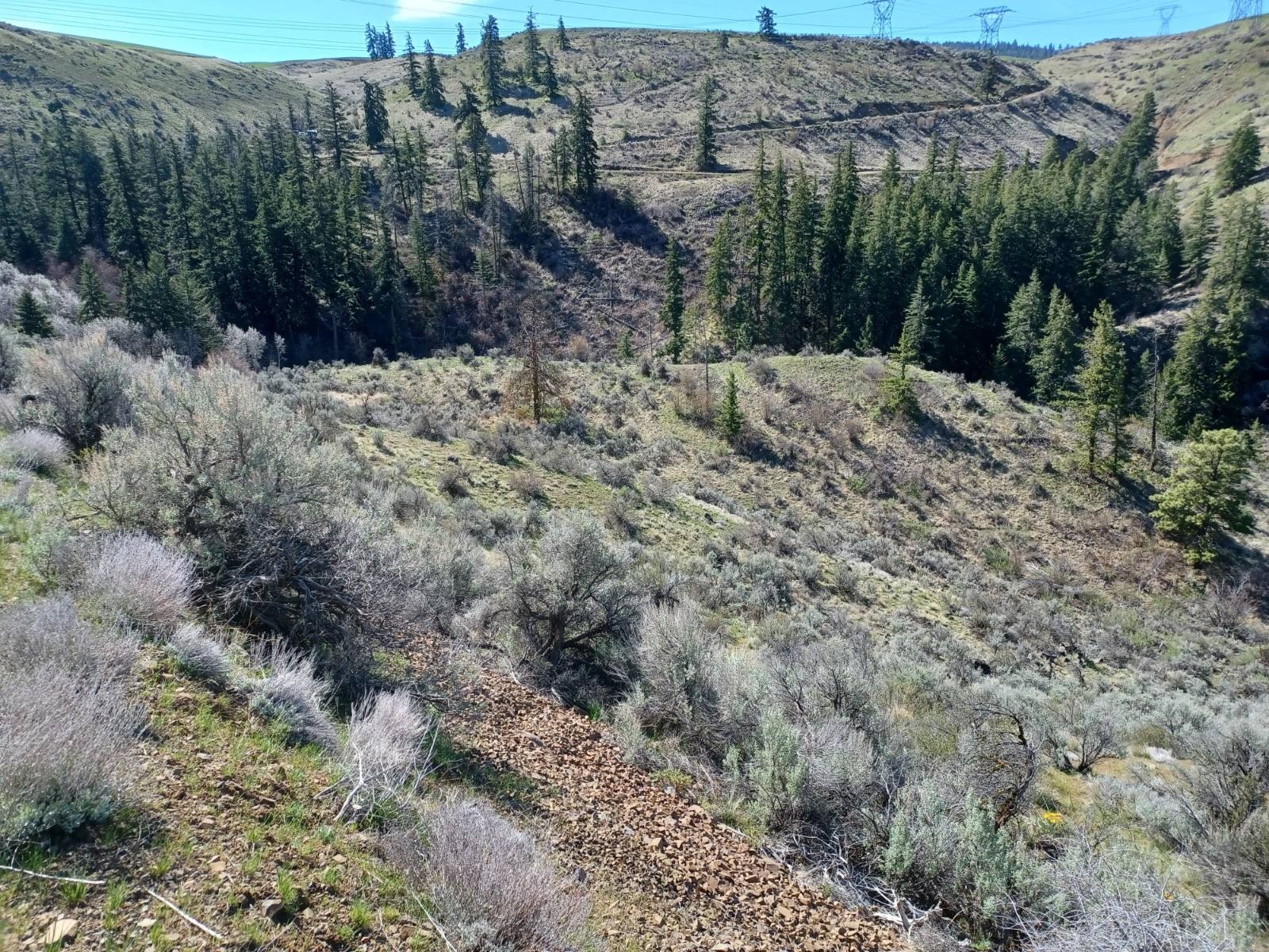 Waterville Vacant Land with Views