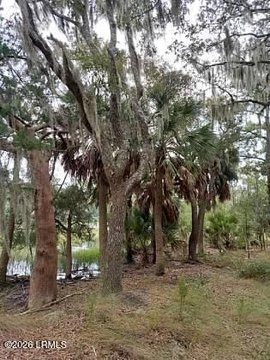 Land, Beaufort, SC