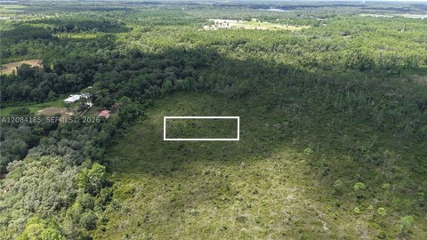 Land, FL