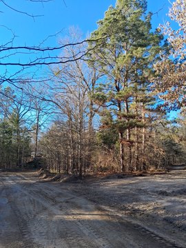 Wooded Land Along Highway 37