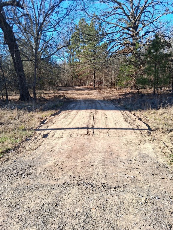 Picture 3