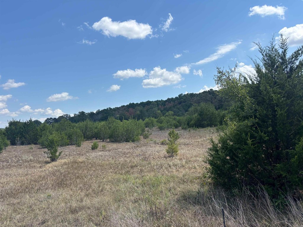 Picture 3