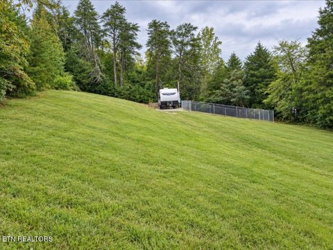Lots & Acreage, Tellico Plains, TN