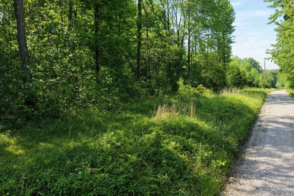 Picture 25