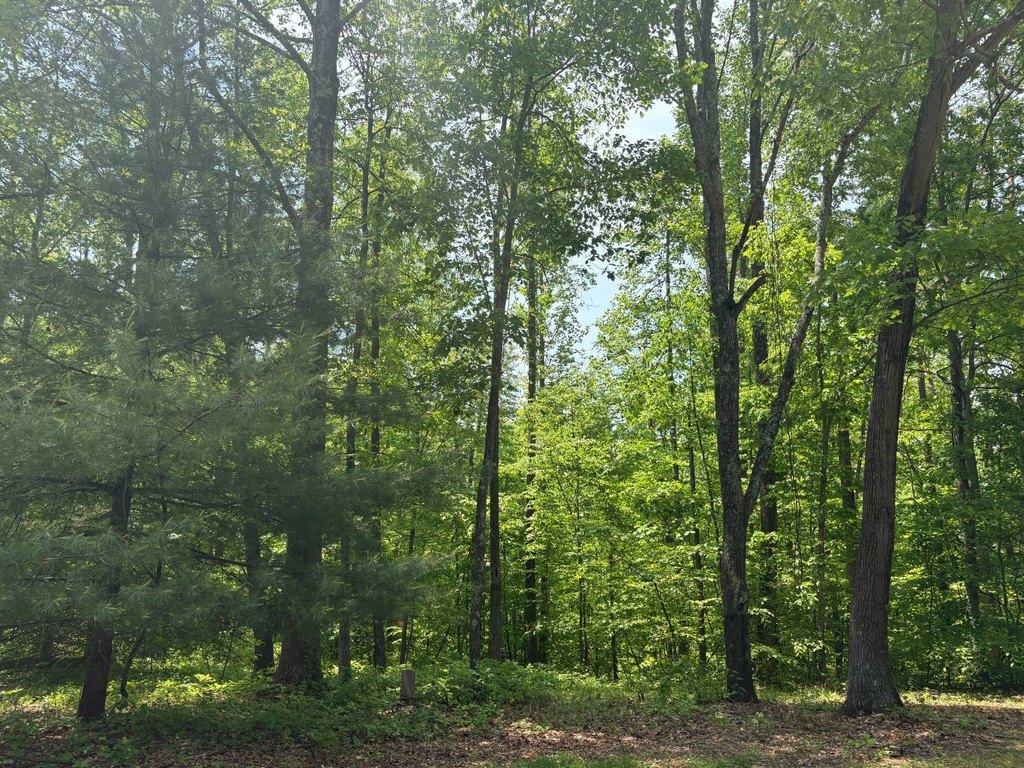 Picture 22