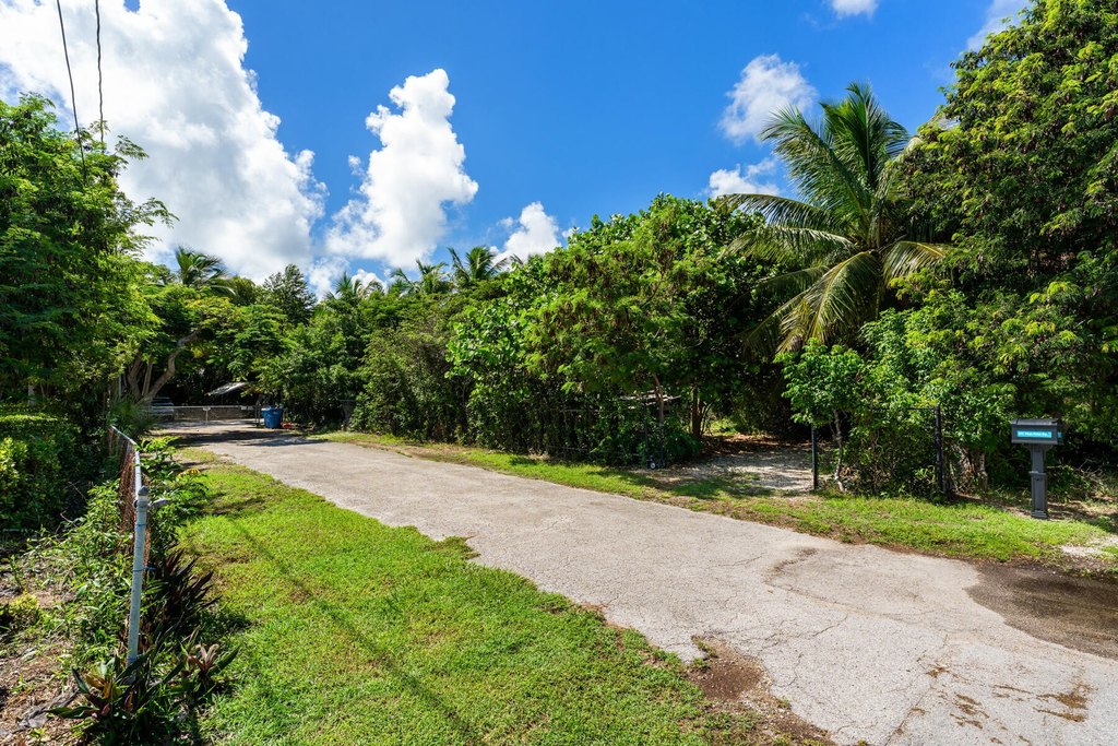 Picture 4