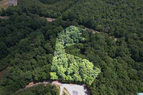 LAND/LOTS, HARPERSVILLE, AL