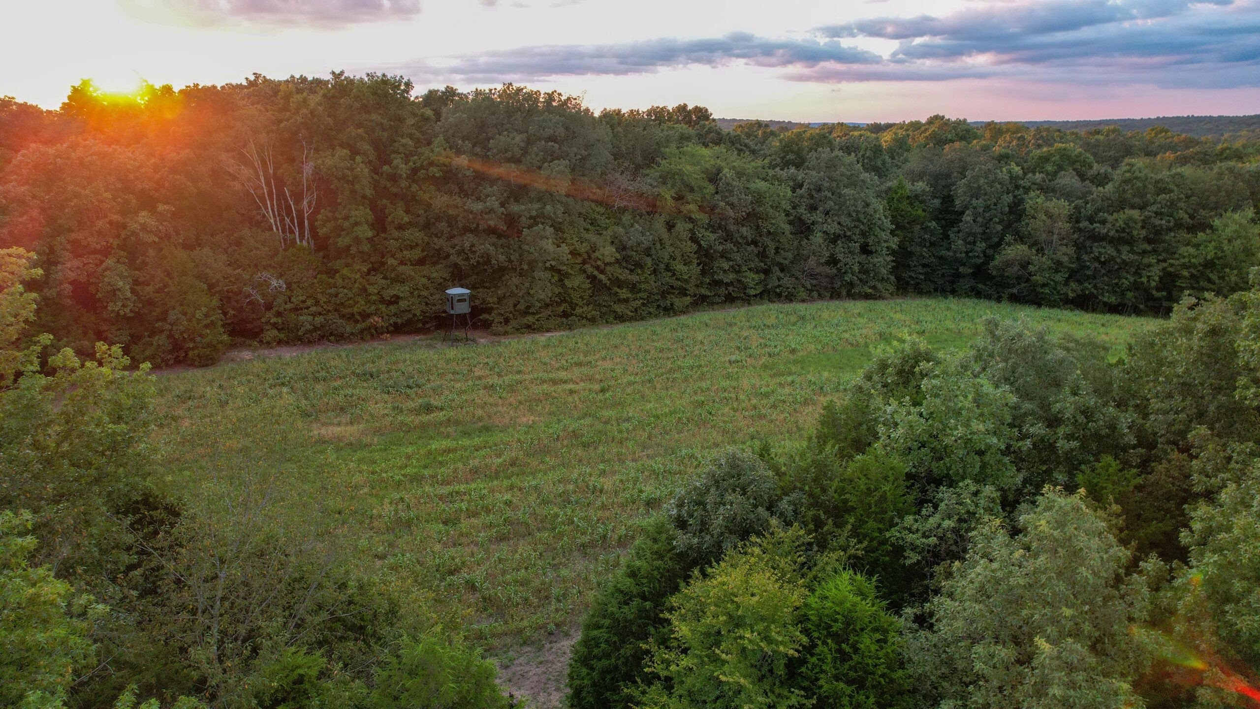 137 Acres of Versatile Land
