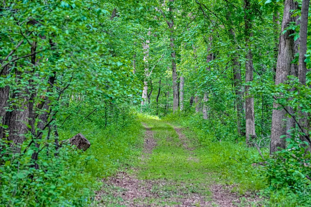 Picture 9
