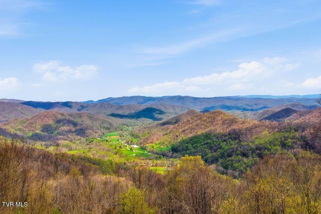 Roan Mountain Land with Views
