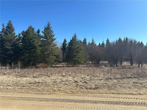 80 Acres Wooded Land, Northome