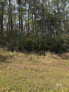 Residential Lot in Lake Forest