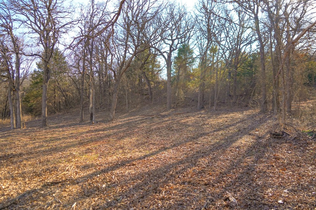 Picture 6