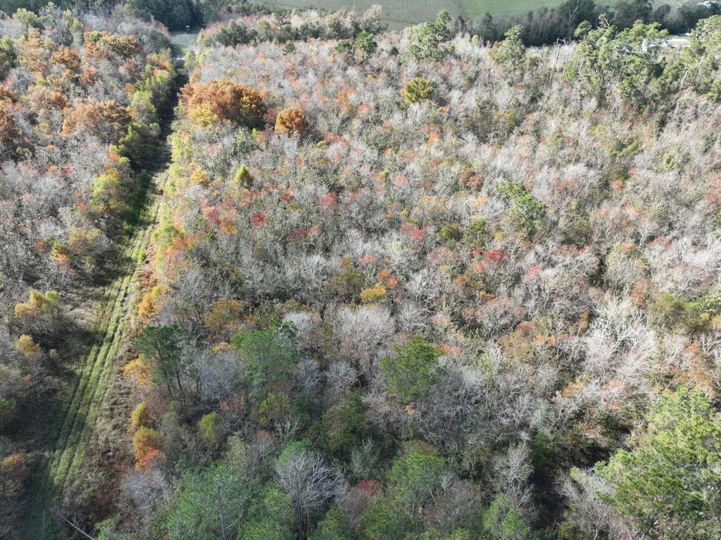 Picture 3