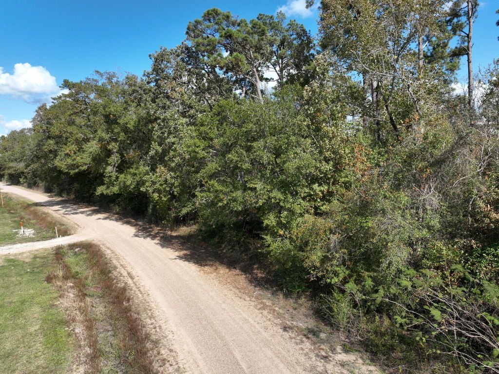Picture 12