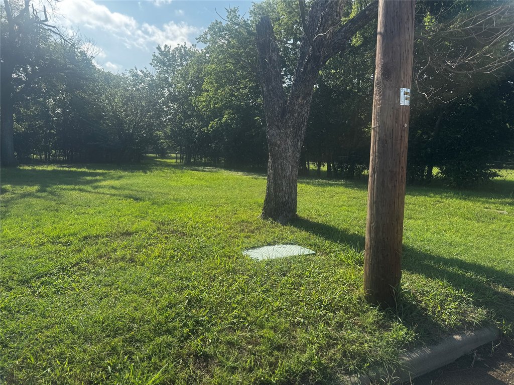 Picture 6