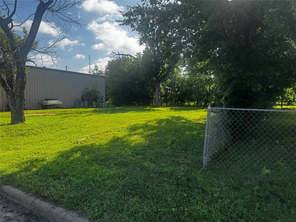 Picture 5