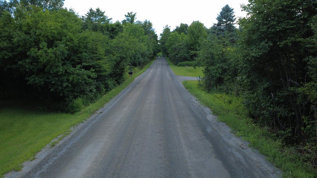 Picture 17