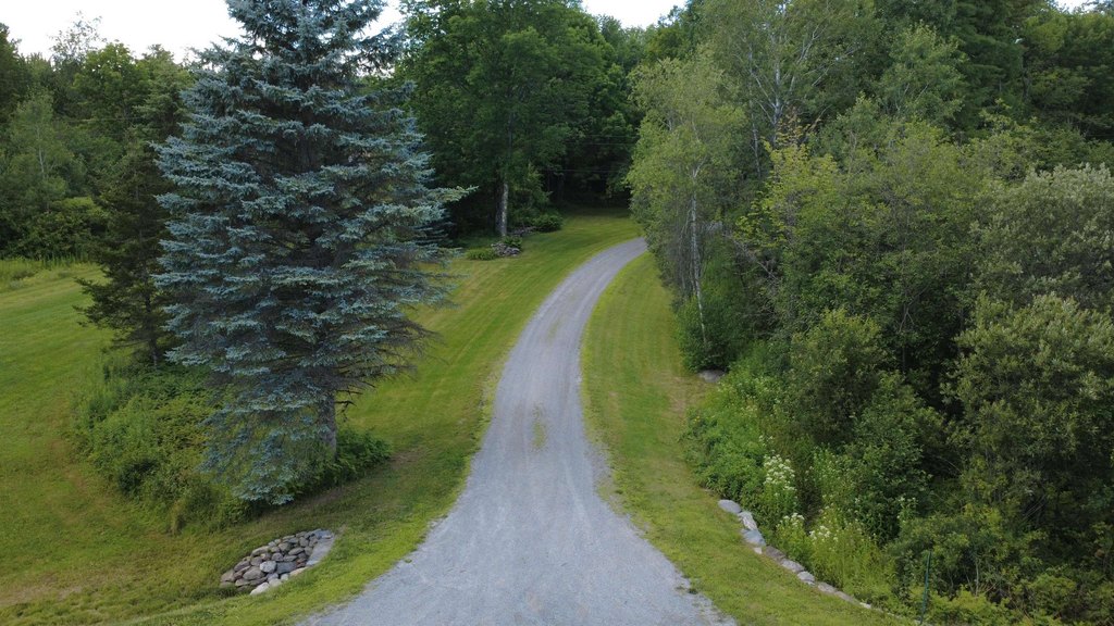 Picture 4