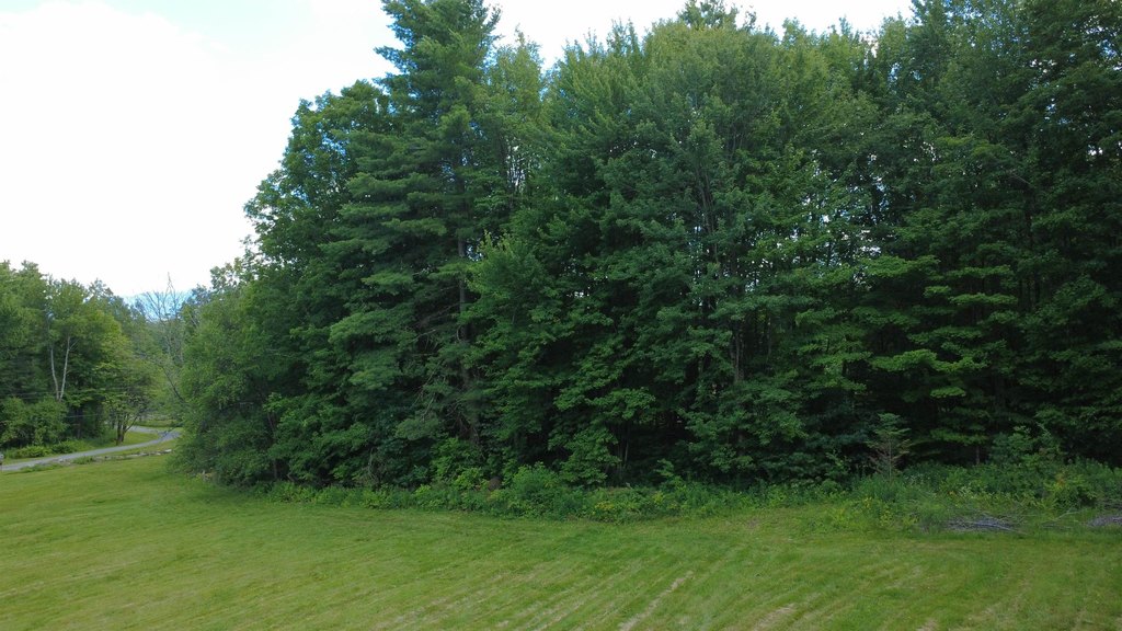 Picture 14
