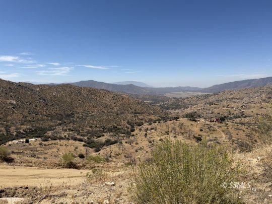 Picture 31