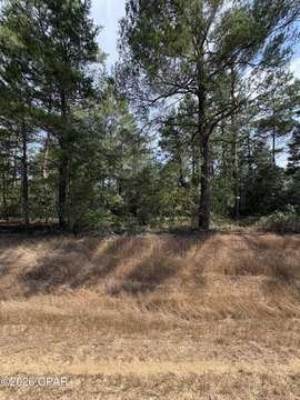 LAND - Chipley, FL