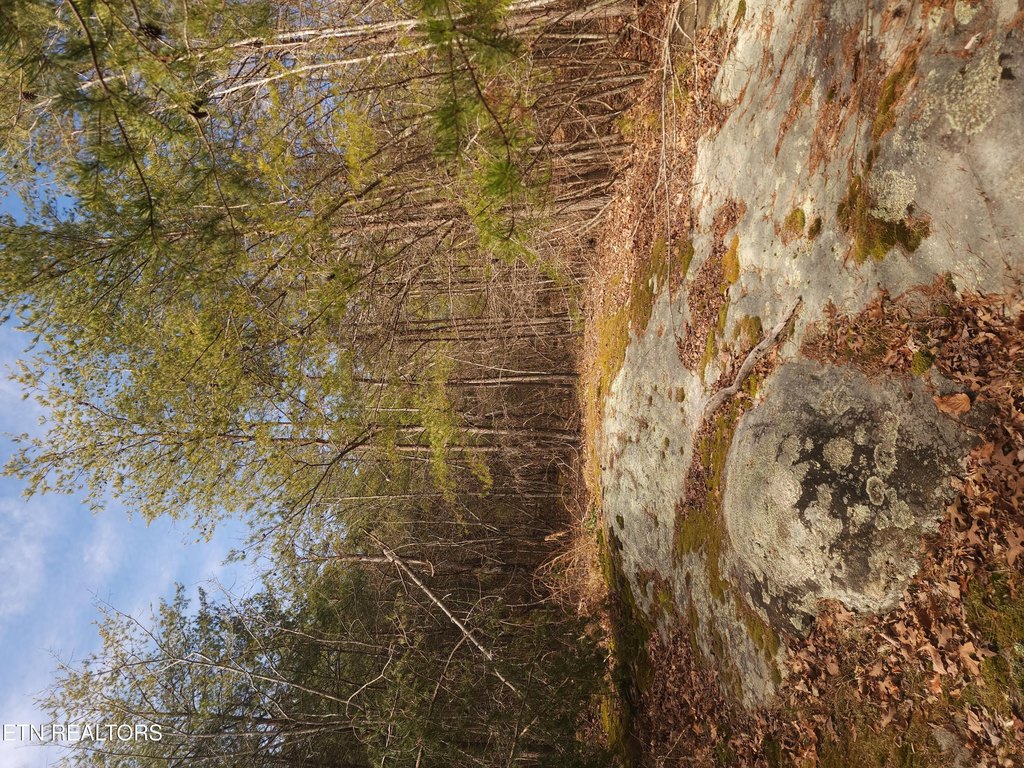 Picture 14