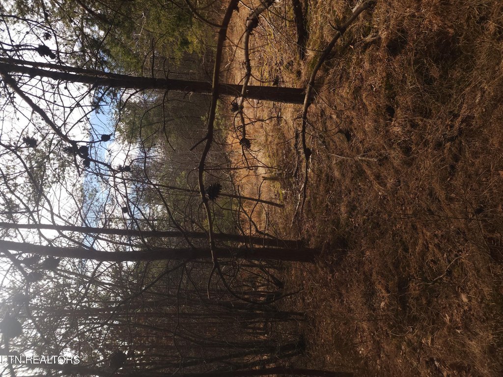 Picture 16