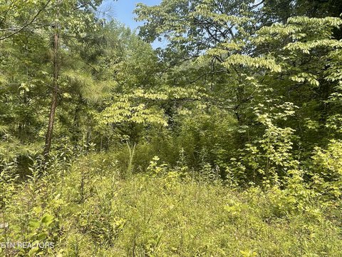 Picture of Land at County Road 285 282, Niota, TN